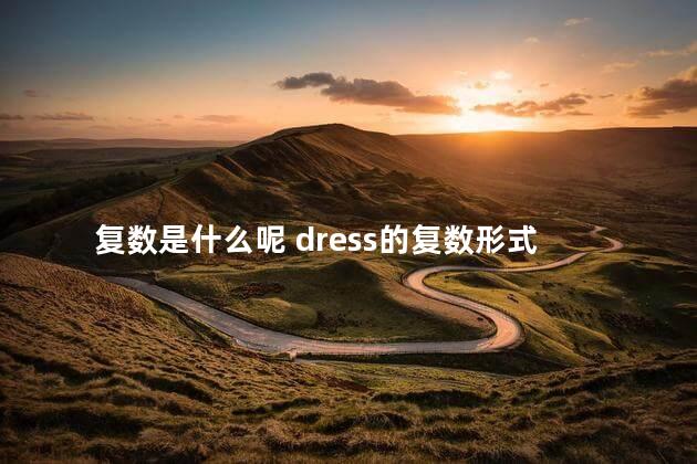 复数是什么呢 dress的复数形式